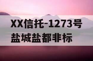 XX信托-1273号盐城盐都非标