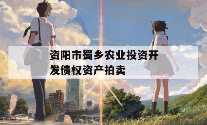 资阳市蜀乡农业投资开发债权资产拍卖