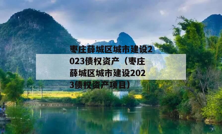 枣庄薛城区城市建设2023债权资产（枣庄薛城区城市建设2023债权资产项目）