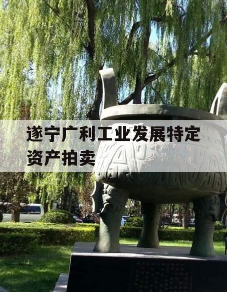 遂宁广利工业发展特定资产拍卖 遂宁广利工业发展特定资产拍卖