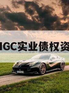 JNGC实业债权资产