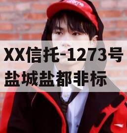 XX信托-1273号盐城盐都非标 XX信托-1273号盐城盐都非标