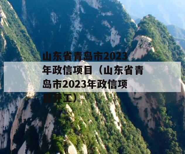 山东省青岛市2023年政信项目（山东省青岛市2023年政信项目开工）