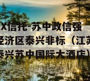XX信托-苏中政信强经济区泰兴非标（江苏泰兴苏中国际大酒店）