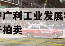 遂宁广利工业发展特定资产拍卖 遂宁广利工业发展特定资产拍卖