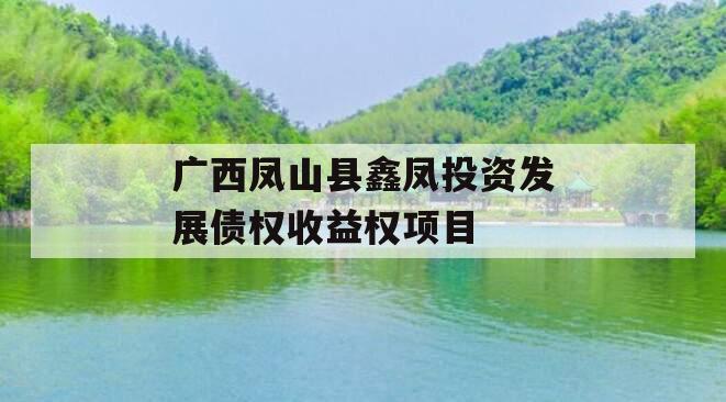广西凤山县鑫凤投资发展债权收益权项目