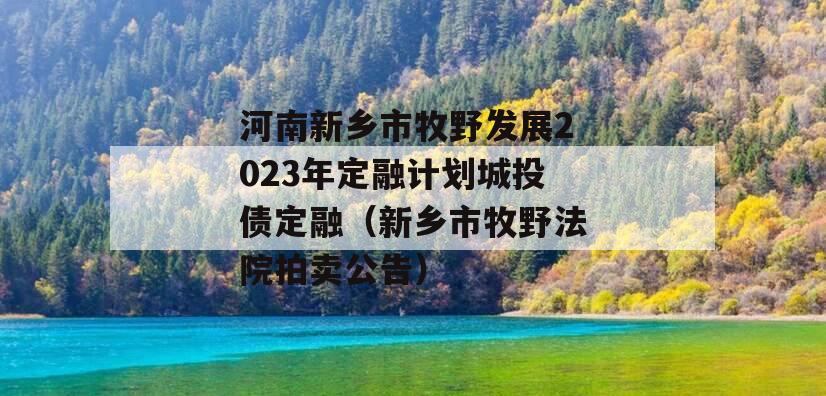 河南新乡市牧野发展2023年定融计划城投债定融（新乡市牧野法院拍卖公告）