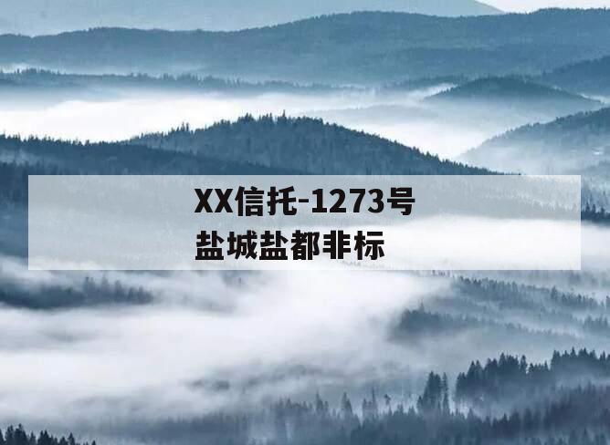 XX信托-1273号盐城盐都非标 XX信托-1273号盐城盐都非标