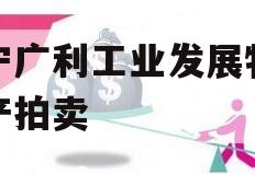 遂宁广利工业发展特定资产拍卖 遂宁广利工业发展特定资产拍卖