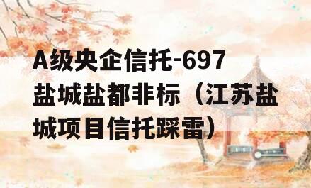 A级央企信托-697盐城盐都非标（江苏盐城项目信托踩雷）