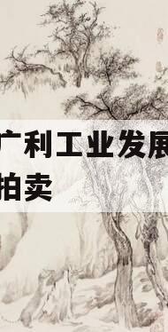 遂宁广利工业发展特定资产拍卖 遂宁广利工业发展特定资产拍卖
