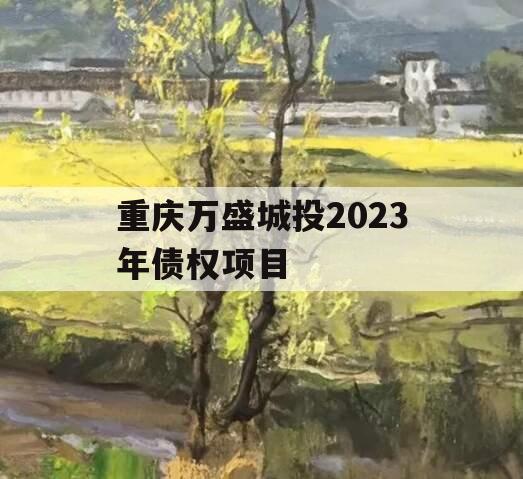 重庆万盛城投2023年债权项目