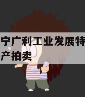 遂宁广利工业发展特定资产拍卖 遂宁广利工业发展特定资产拍卖