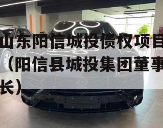 山东阳信城投债权项目（阳信县城投集团董事长）