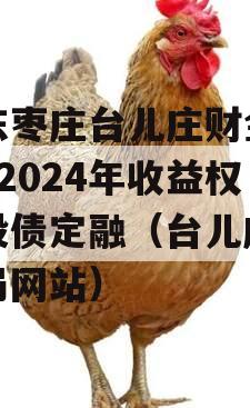 山东枣庄台儿庄财金D1号2024年收益权城投债定融（台儿庄财政局网站）