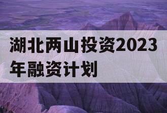 湖北两山投资2023年融资计划
