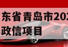 山东省青岛市2023年政信项目 山东省青岛市2023年政信项目