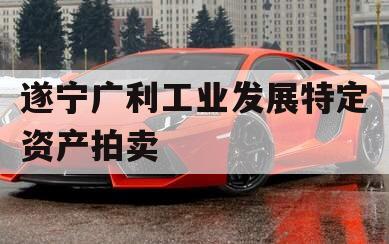 遂宁广利工业发展特定资产拍卖 遂宁广利工业发展特定资产拍卖