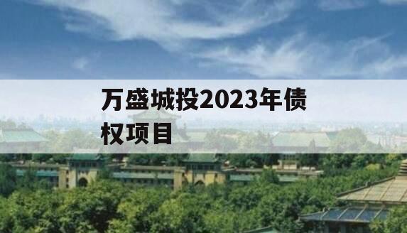万盛城投2023年债权项目