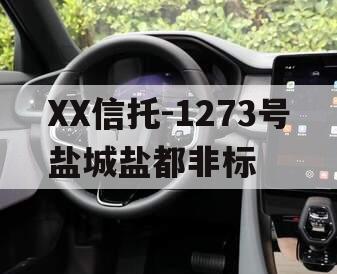 XX信托-1273号盐城盐都非标
