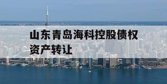 山东青岛海科控股债权资产转让