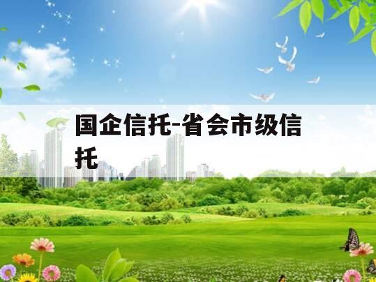 国企信托-省会市级信托