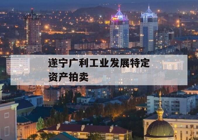 遂宁广利工业发展特定资产拍卖 遂宁广利工业发展特定资产拍卖