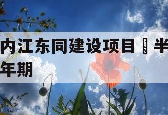 内江东同建设项目•半年期