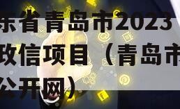 山东省青岛市2023年政信项目（青岛市信息公开网）