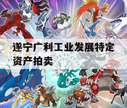遂宁广利工业发展特定资产拍卖 遂宁广利工业发展特定资产拍卖