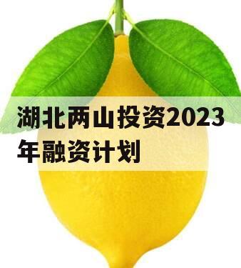 湖北两山投资2023年融资计划 湖北两山投资2023年融资计划