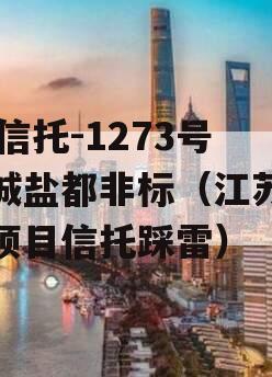 XX信托-1273号盐城盐都非标（江苏盐城项目信托踩雷）