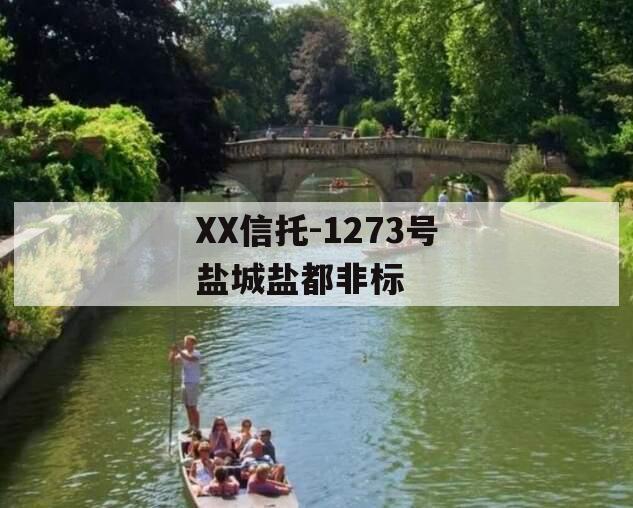 XX信托-1273号盐城盐都非标
