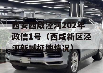 西安西咸泾河202年政信1号（西咸新区泾河新城征地情况）