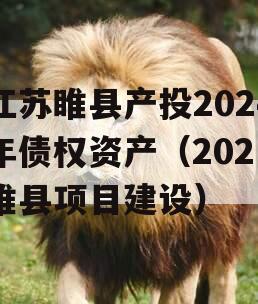 江苏睢县产投2024年债权资产（2021睢县项目建设）
