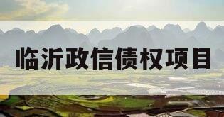 临沂政信债权项目