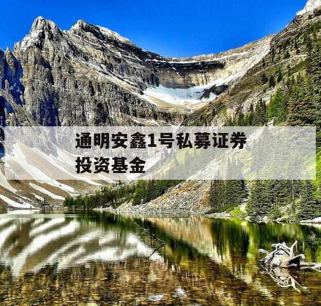 通明安鑫1号私募证券投资基金