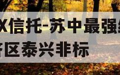 XX信托-苏中最强经济区泰兴非标
