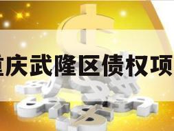 重庆武隆区债权项目