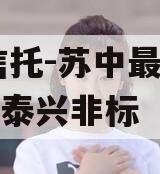 XX信托-苏中最强经济区泰兴非标