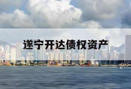 遂宁开达债权资产