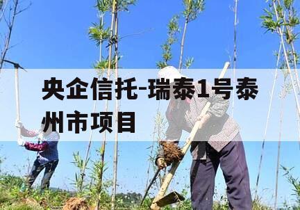 央企信托-瑞泰1号泰州市项目