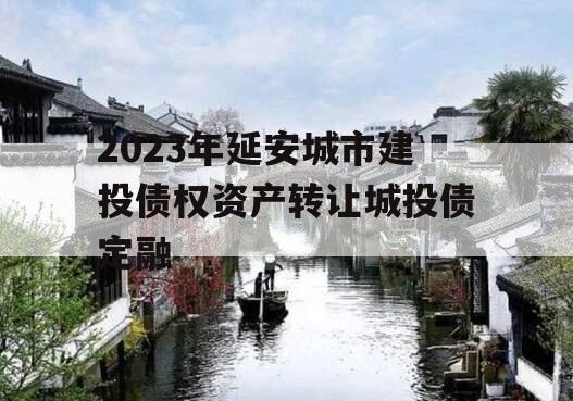 2023年延安城市建投债权资产转让城投债定融