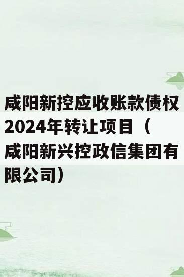 咸阳新控应收账款债权2024年转让项目（咸阳新兴控政信集团有限公司）