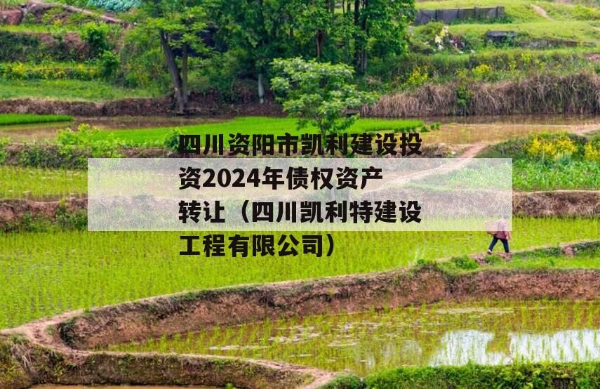四川资阳市凯利建设投资2024年债权资产转让（四川凯利特建设工程有限公司）