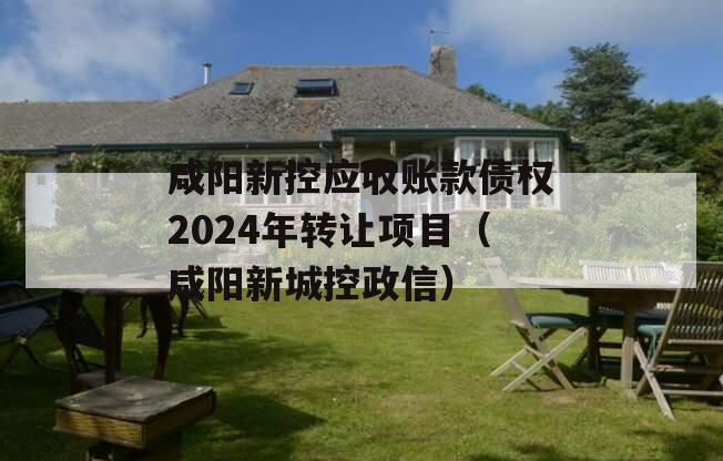 咸阳新控应收账款债权2024年转让项目（咸阳新城控政信）