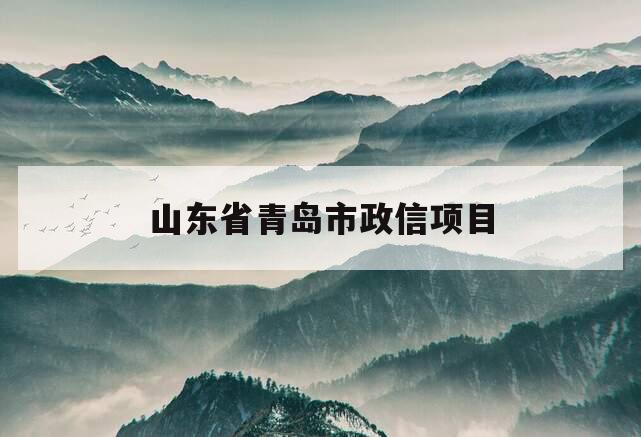 山东省青岛市政信项目