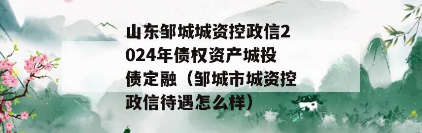 山东邹城城资控政信2024年债权资产城投债定融（邹城市城资控政信待遇怎么样）
