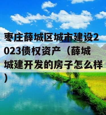 枣庄薛城区城市建设2023债权资产（薛城城建开发的房子怎么样）