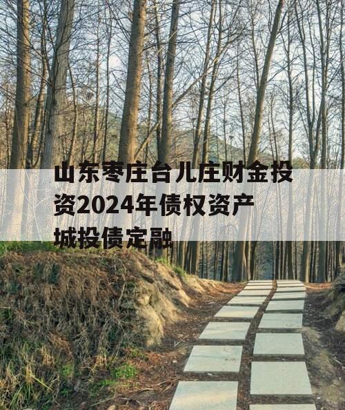山东枣庄台儿庄财金投资2024年债权资产城投债定融